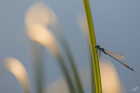 Visitez les photos