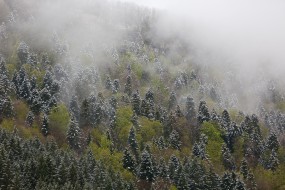 Visitez les photos