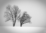 L‘hiver