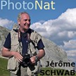Visitez les photos
